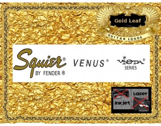  Squier Venus Vista Guitar Decal #91g